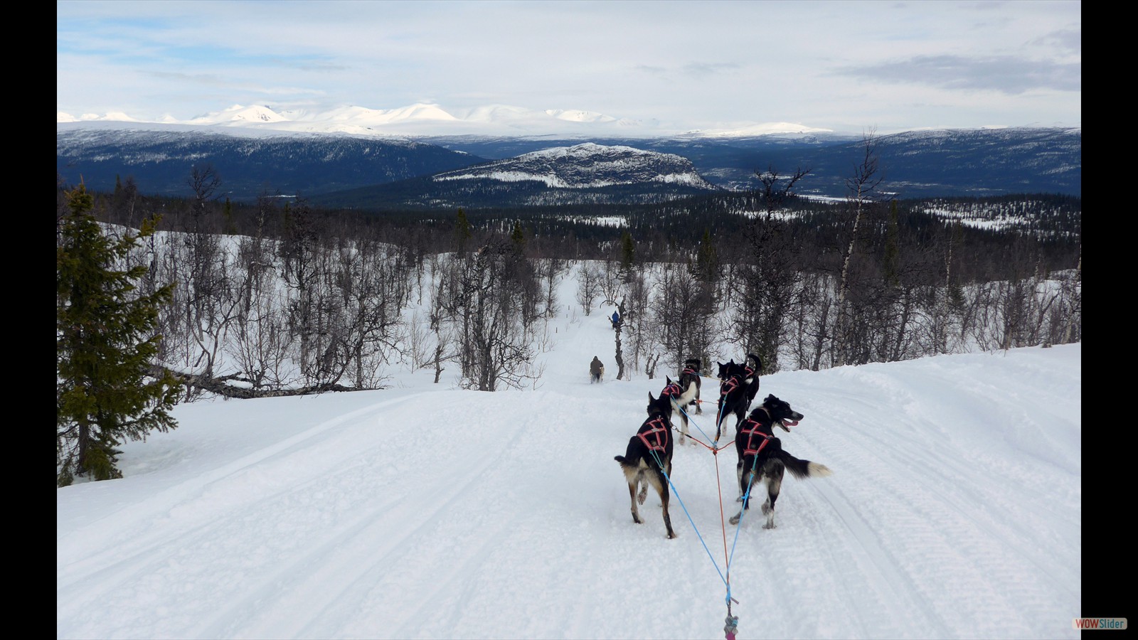 Rasante und kurvige Abfahrt durch den Wald Richtung Kvikkjokk